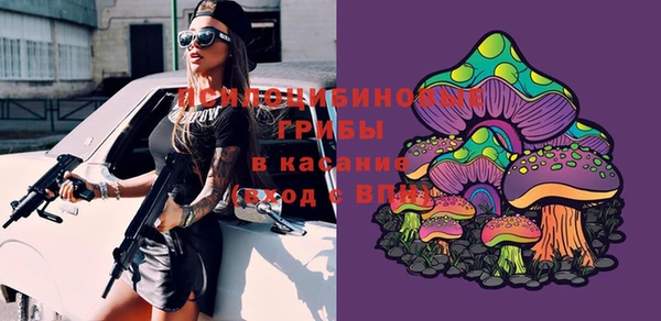 прущая мука Лабытнанги