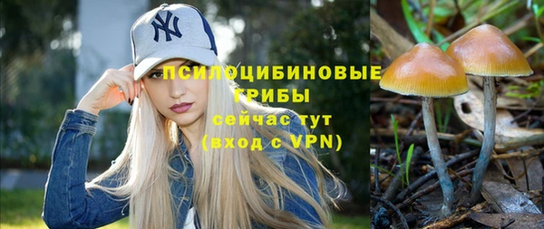 PSILOCYBIN Ладушкин