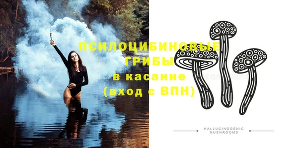 PSILOCYBIN Ладушкин