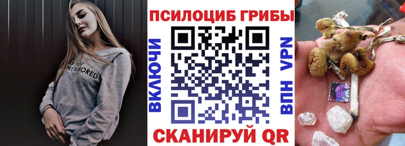 Купить где  Зубцов  Псилоцибиновые грибы Magic Shrooms 